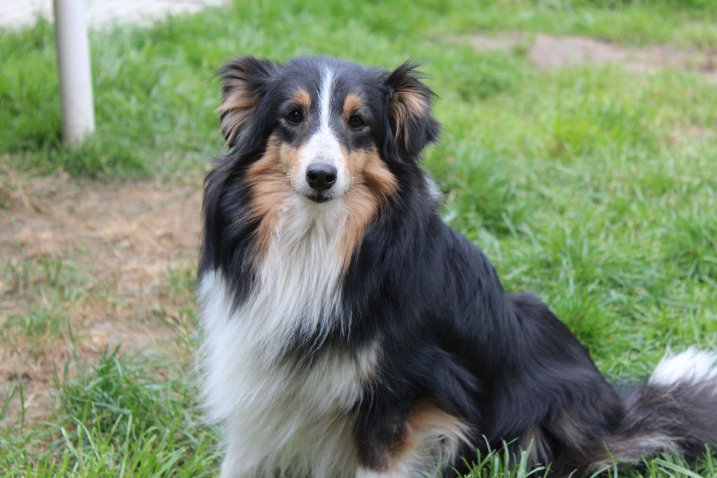 Ingénue tornade des lutins de Cassiopée