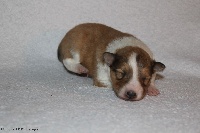 MILKY WAY IN THE GALAXY