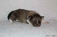 MILKY WAY IN THE SKY