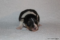 MILKY WAY IN THE NIGHT