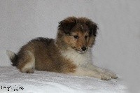 MILKY WAY IN MY DREAMS