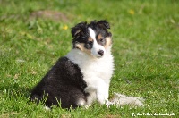 Moonstar The Rivage des lutins de Cassiopée