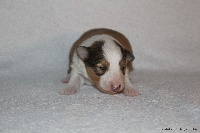 MILKY WAY IN THE SPACE