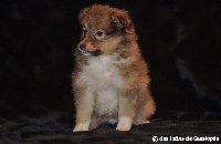 Lipstic Wonder Touch